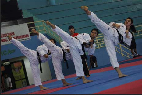 club taekwondo jakarta selatan